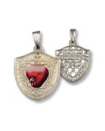 Medalik Tarcza Najświętszego Serca Pana Jezusa