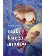 Mała księga aniołów