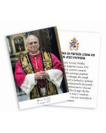 Obrazek z Papieżem Leonem XIV