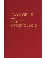 Ewangelie i Dzieje Apostolskie (duża czcionka z infografikami)