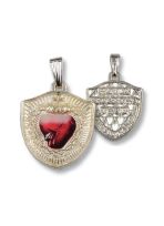 Medalik Tarcza Najświętszego Serca Pana Jezusa + książka "ŚWIADECTWO"