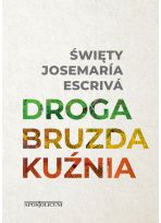 Droga Bruzda Kuźnia 