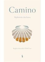 Camino. Wędrówka duchowa