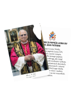 Obrazek Papież Leon XIV