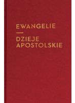 Ewangelie i Dzieje Apostolskie (duża czcionka z infografikami)