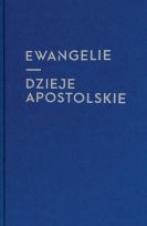 Ewangelie i Dzieje Apostolskie (dla młodzieży) Nowy Testament z infografikami
