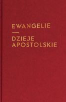 Ewangelie i Dzieje Apostolskie (duża czcionka z infografikami)
